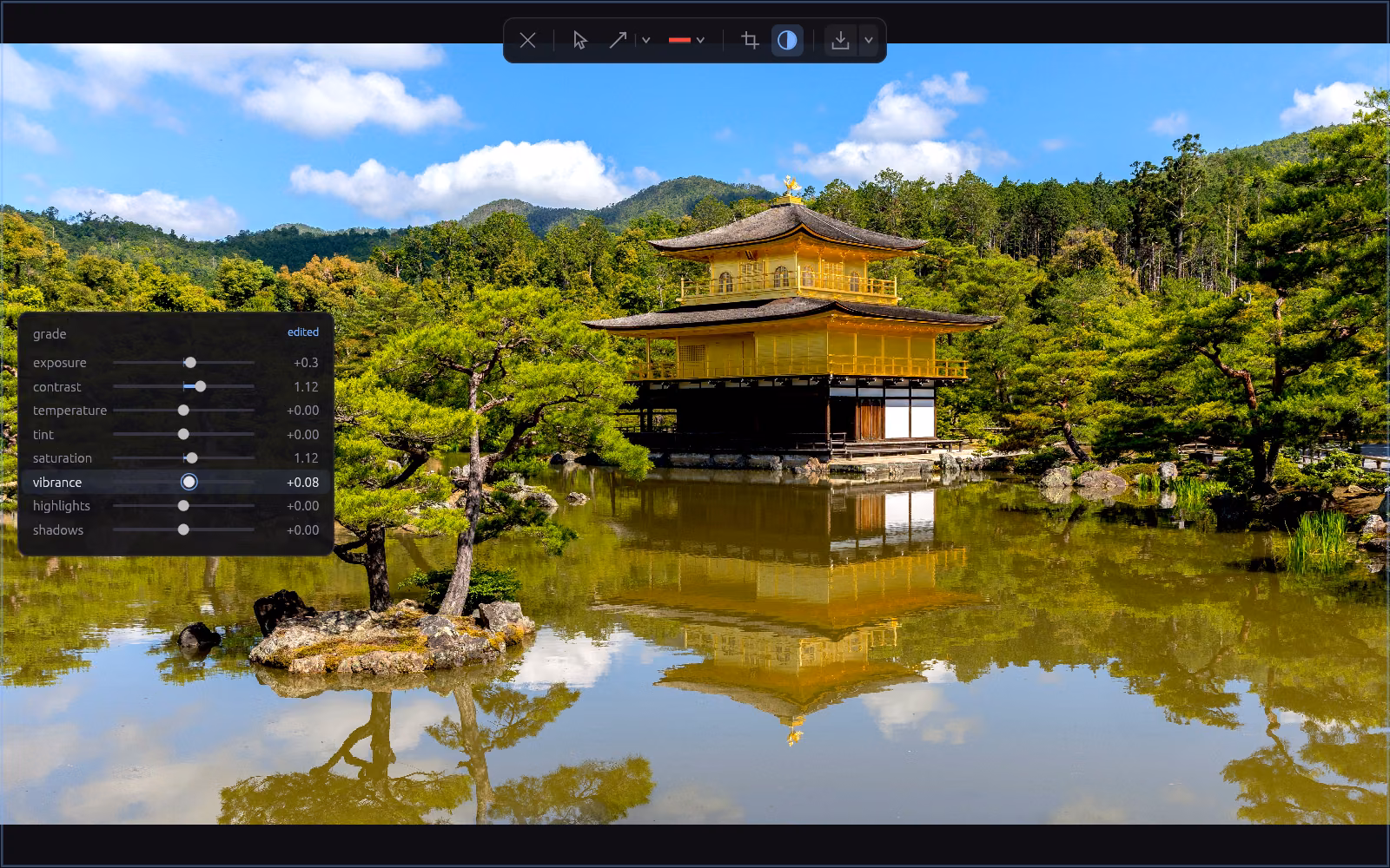delightviewer grade panel open over a photograph